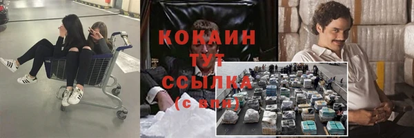 мдпв Вязьма